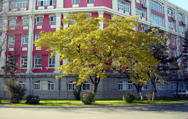 长春工业大学在职研究生