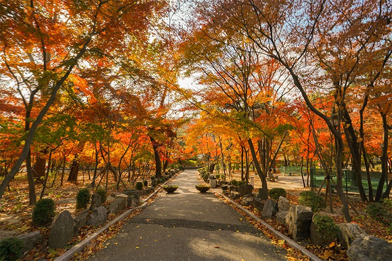 韩国又松大学在职研究生