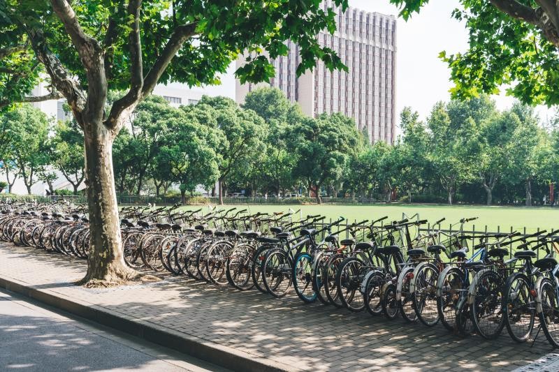 西藏大学在职研究生